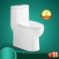 Toilet Bowl Bolande Design White Dual-flush Elongated One-piece ONE Piece Ceramic Flush Pipe Component Floor Mounted Modern